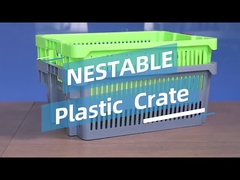 Σπίτι Προϊόντα Πολλαπλής χρήσης πλαστικό καλάθι για την αποθήκευση των φρούτων και λαχανικών αποτελεσματικά